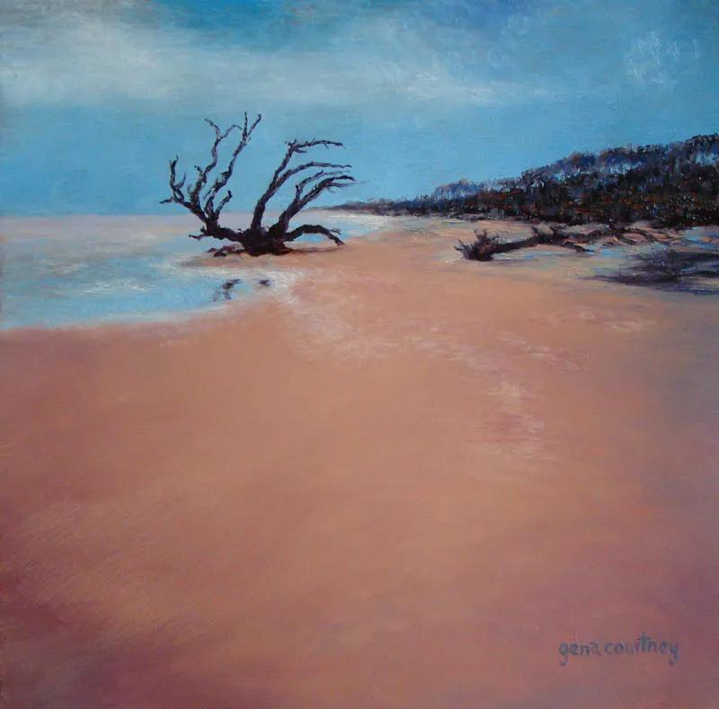 Driftwood Beach, Jekyll Island, GA